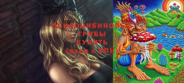 мет Абаза